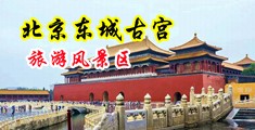 女人操逼免费视频中国北京-东城古宫旅游风景区